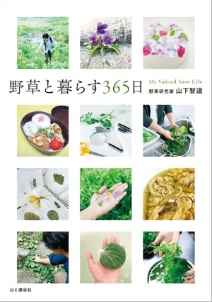 野草と暮らす365日