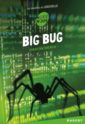 Big bug Les enqu?tes de Logicielle