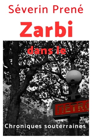 Zarbi dans le m?tro Chroniques souterraines parisiennes