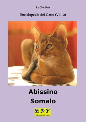 Abissino - SomaloŻҽҡ[ Le Chat Noir ]