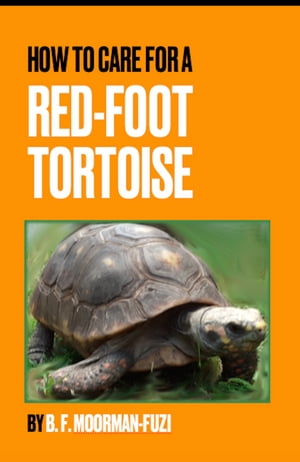 How To Care For A Red-foot Tortoise