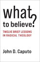 What to Believe? Twelve Brief Lessons in Radical Theology