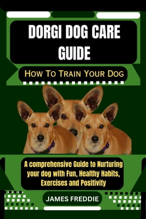 Dorgi Dog care guide