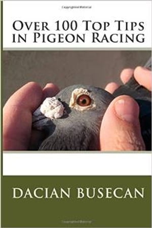 Over 100 Top Tips in Pigeon Racing