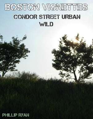 Boston Vignettes: Condor Street Urban Wild