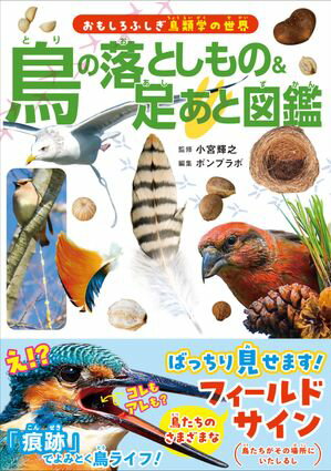 鳥の落としもの＆足あと図鑑【電子書籍】[ 小宮輝之（監修） ]