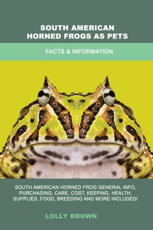 South American Horned Frogs as Pets