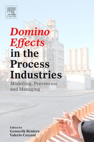 Domino Effects in the Process Industries