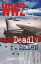 Deadly Skies (True Combat)Żҽҡ[ Nigel Cawthorne ]