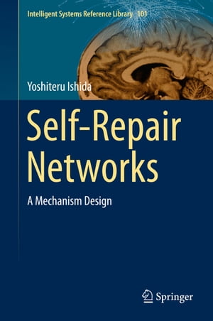 Self-Repair Networks