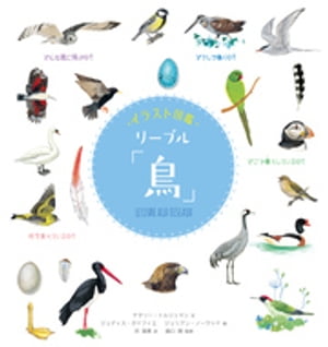 イラスト図鑑　リーブル「鳥」