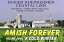 Amish Forever - Volume 4- A Cold Winter