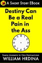 ŷKoboŻҽҥȥ㤨Destiny Can Be a Real Pain in the AssŻҽҡ[ William Hrdina ]פβǤʤ100ߤˤʤޤ
