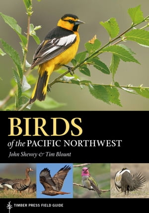 Birds of the Pacific NorthwestŻҽҡ[ John Shewey ]