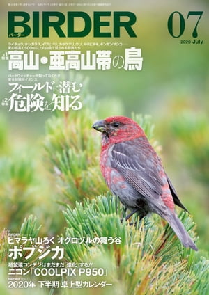 BIRDER2020年7月号