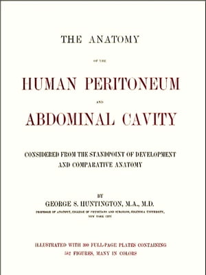 The Anatomy of the Human Peritoneum and Abdominal Cavity