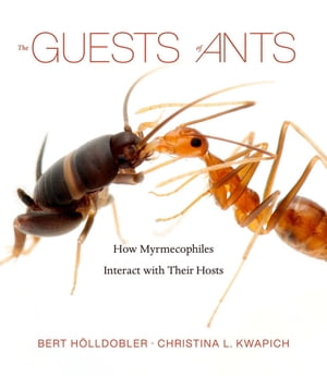 The Guests of Ants How Myrmecophiles Interact with Their HostsŻҽҡ[ Bert H?lldobler ]