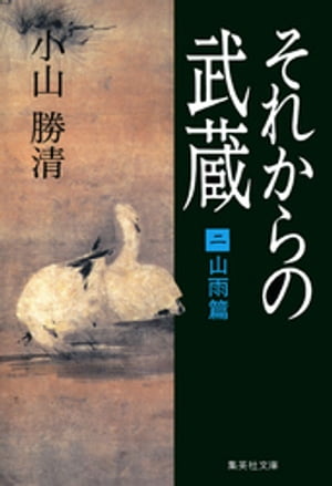 それからの武蔵（二）山雨篇