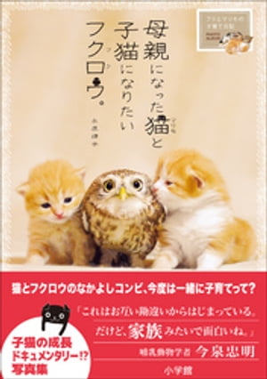 母親になった猫と子猫になりたいフクロウ。〜フクとマリモの子育て日記〜【電子書籍】[ 永原律子 ]