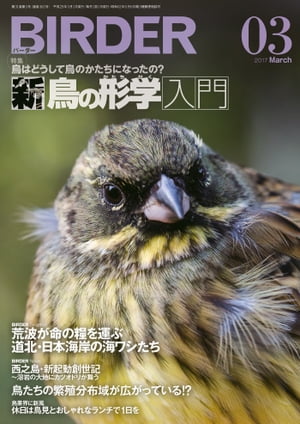 BIRDER2017年3月号【電子書籍】[ BIRDER編集部 ]