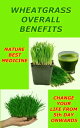 Wheatgrass For Overall for Well Being Superior Q