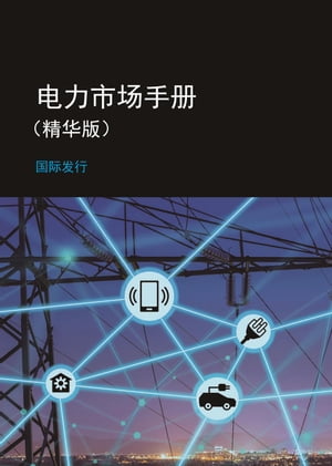 电力市场手册 （精华版）- 国际发行