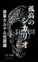 ＜p＞「カミラが帰ってこない」＜br /＞ 少年ビトは、失踪した姉カミラの行方を必死にさがしていた。＜/p＞ ＜p＞メキシコでは、麻薬カルテルによる性的人身売買目的の拉致が横行していた。麻薬の製造密輸のほかに高収益を見込めるからだ。＜/p＞ ＜p＞カルテルとの癒着によって腐敗した地元警察などあてにならない。そう悟ったビトは、ひとりの日本人シカリオ（暗殺者）の存在を知ることになる。＜/p＞ ＜p＞「日本人の血には、戦いに千年の歴史がある」＜/p＞ ＜p＞そのシカリオに姉の救出を依頼すべくビトは、命がけで国境を越えていく。果たして、彼はシカリオを見つけ出し、姉を救出することはできるのか。＜/p＞ ＜p＞各プラサから集結したカルテル総勢300人に対し、たったひとり戦いの火蓋を切る──。＜/p＞画面が切り替わりますので、しばらくお待ち下さい。 ※ご購入は、楽天kobo商品ページからお願いします。※切り替わらない場合は、こちら をクリックして下さい。 ※このページからは注文できません。