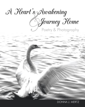 A Heart's Awakening & Journey Home