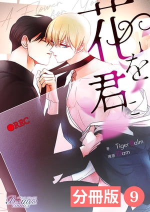 ֤򷯤ˡʬǡ9ʥӥ󥳥ߥåˡŻҽҡ[ Tiger Balm ]