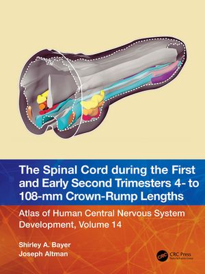 The Spinal Cord during the First and Early Second Trimesters 4- to 108-mm Crown-Rump Lengths