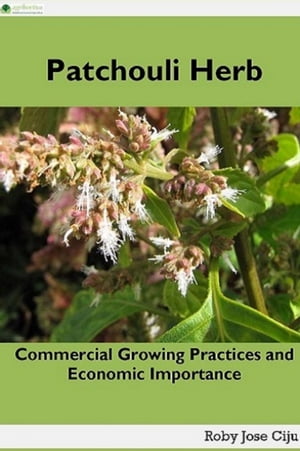 Patchouli Herb Commercial Growing Practices and 