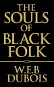 ŷKoboŻҽҥȥ㤨The Souls of Black FolkŻҽҡ[ W. E.B. DuBois ]פβǤʤ65ߤˤʤޤ