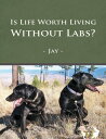 Is Life Worth Living Without Labs?【電子書籍】[ Jay ]