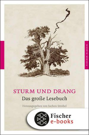 Sturm und Drang Das gro e Lesebuch【電子書籍】