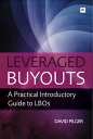 Leveraged Buyouts A Practical Introductory Guide to LBOs