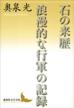 石の来歴　浪漫的な行軍の記録