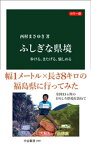 カラー版　ふしぎな県境　歩ける、またげる、愉しめる【電子書籍】[ 西村まさゆき ]