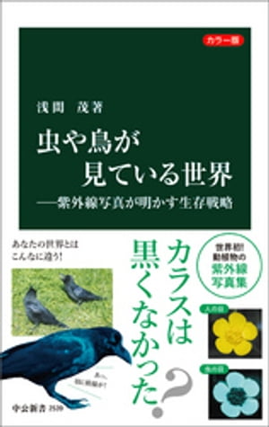 カラー版 虫や鳥が見ている世界ー紫外線写真が明かす生存戦略