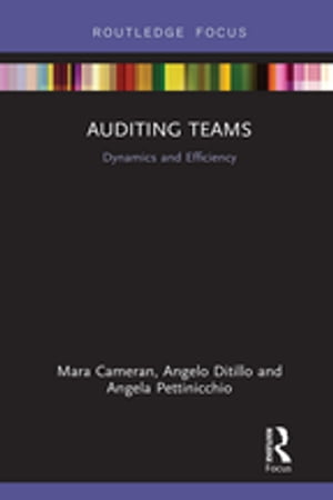 Auditing Teams