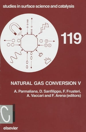 Natural Gas Conversion V【電子書籍】