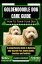 Goldendoodle Dog care guide