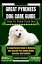 Great Pyrenees Dog care guide