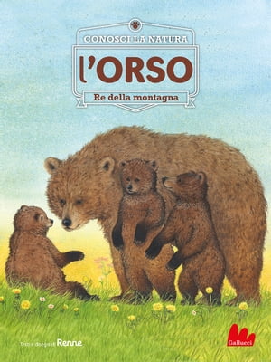 Conosci la natura. l'ORSO