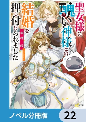 聖女様に醜い神様との結婚を押し付けられました【ノベル分冊版】　22