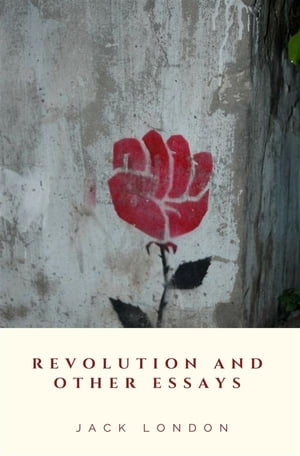 Revolution and Other Essays