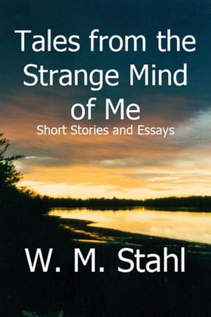 Tales From the Strange Mind of Me Short Stories 