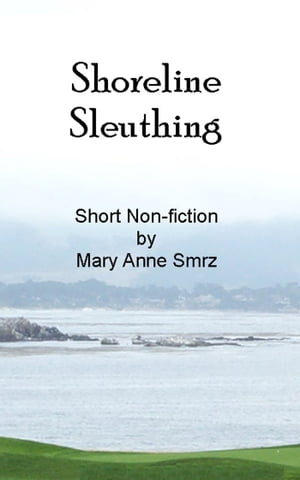 Shoreline Sleuthing