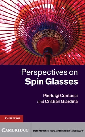 Perspectives on Spin Glasses