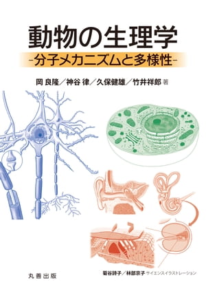 ＜p＞本書は、長く動物学分野で生理学の教育に携わってきた4名の著者によって、動物の生体が示す生命活動機能的側面について分子から個体のレベルまで通して理解し、さらに種の多様性について洞察を深める一助となる教科書となるよう構成された一冊。理学部...