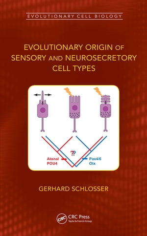 Evolutionary Origin of Sensory and Neurosecretory Cell Types Vertebrate Cranial Placodes, volume 2【電子書籍】 Gerhard Schlosser